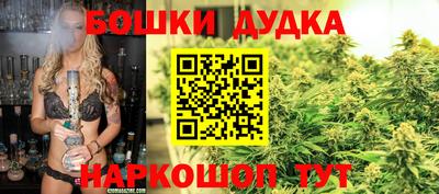ALPHA PVP Гатчина