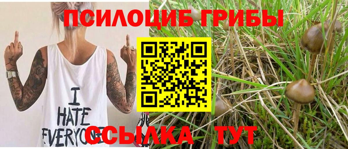 Галлюциногенные грибы ЛСД Крымск