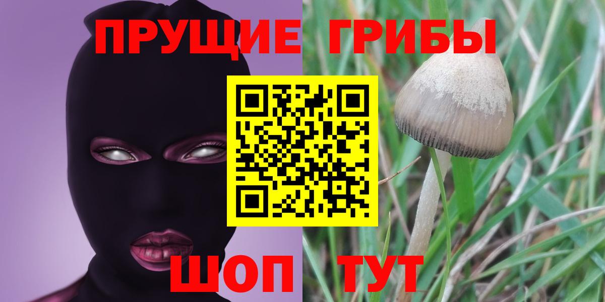 Крымск  Галлюциногенные грибы прущие грибы  закладки  Вход с VPN 